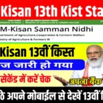 PM Kisan Samman Nidhi Yojana 13th Kist Check Now : आज किसान योजना 13वी किस्त के लिए किसानों की ₹2000 की नई सूची जारी ऐसे देखें पेमेंट स्टेटस