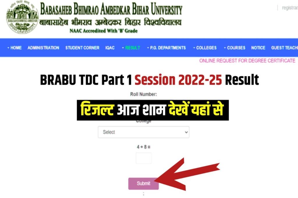 BRABU TDC Part 1 Result 2023 (रिजल्ट आज), (2022-25) ,BA BSc BCom Result Link, TDC 1st Year Result @brabu.net