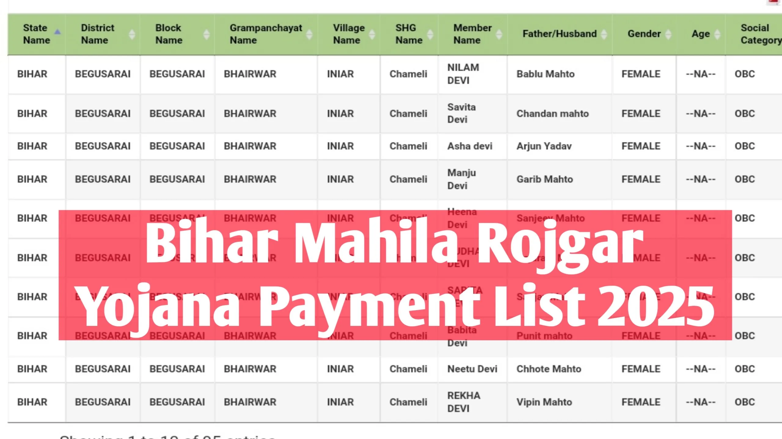 Bihar Mahila Rojgar Yojana Payment List 2025 : Bihar Mahila Rojgar Yojana Ka Paisa Kaise Check Kare