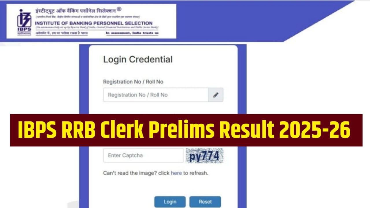 IBPS RRB Clerk Prelims Result 2025: Scorecard & Cutoff ऐसे चेक करें @ibps.in